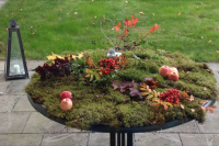 /album/bildgalleri/img-3061-003-png/